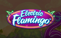 Electric Flamingo