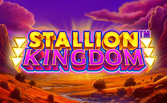 Stallion Kingdom