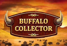 Buffalo Collector