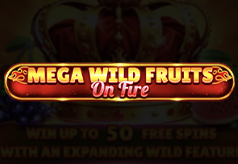 Mega Wild Fruits – On Fire