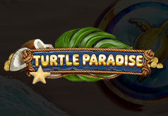 Turtle Paradise