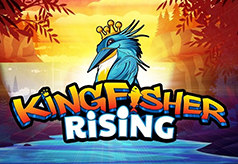 Kingfisher rising