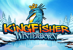 Kingfisher Winterborn